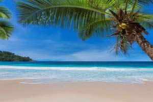 Princess Grand Jamaica Resort All Inclusive Family Resort